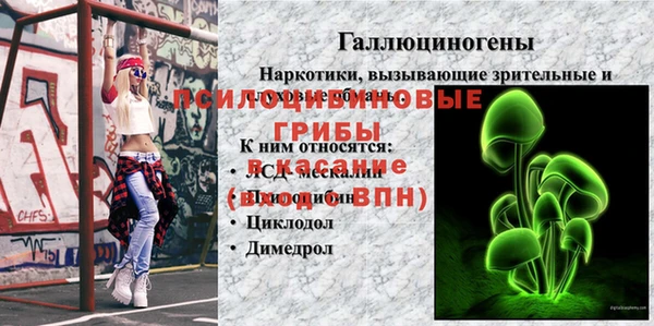 крисы Нефтекумск