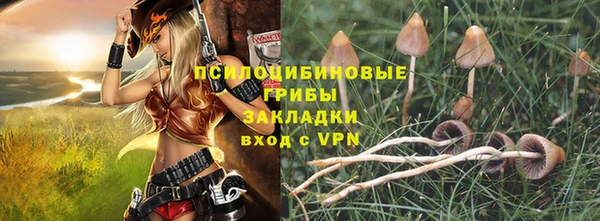 крисы Нефтекумск