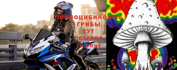 не бодяженный Нефтегорск
