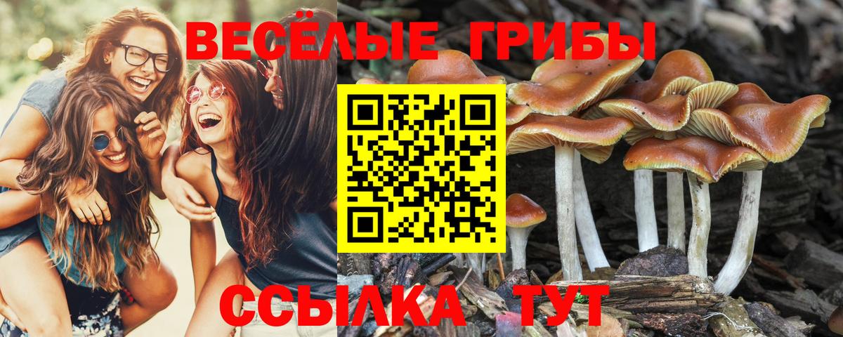Псилоцибиновые грибы мицелий  Галлюциногенные грибы мухоморы  Уварово  Вход с VPN 